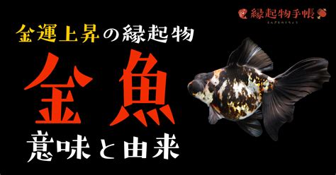 風水 金魚 色|金魚は風水で「金運アップ」の縁起物！運気を上げる飼い方を紹。